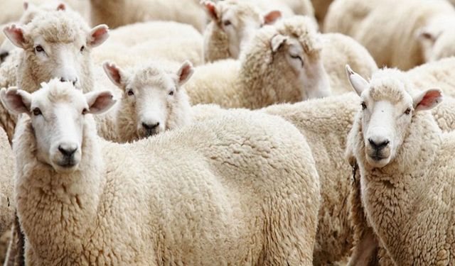 Kurban Bayramı ne zaman? 2026 Kurban Bayramı hangi güne denk geliyor?