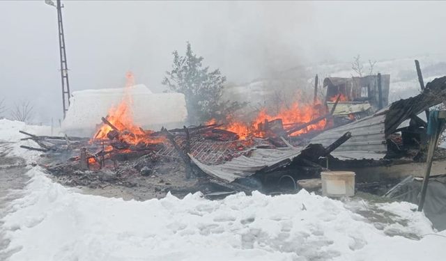 Ordu'da iş makineleriyle söndürülen yangın