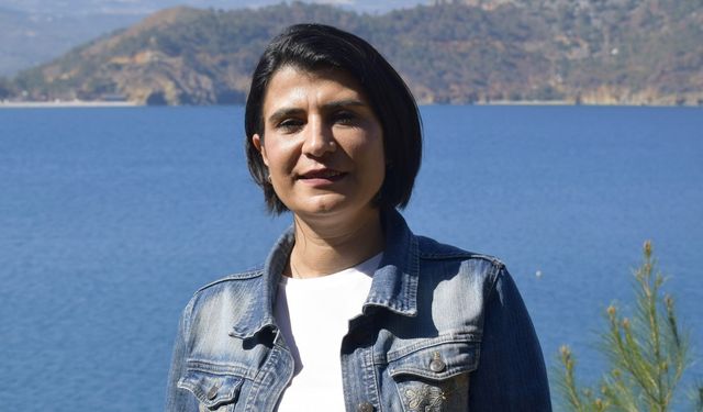 Lalenin atası Türk lalesi