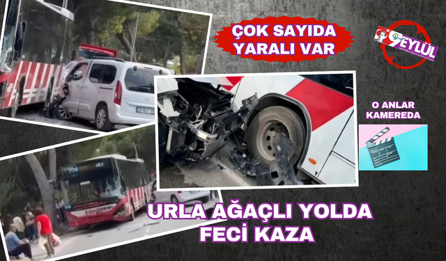 Ağaçlı Yolda Feci Kaza! Çok Sayıda Yaralı Var!