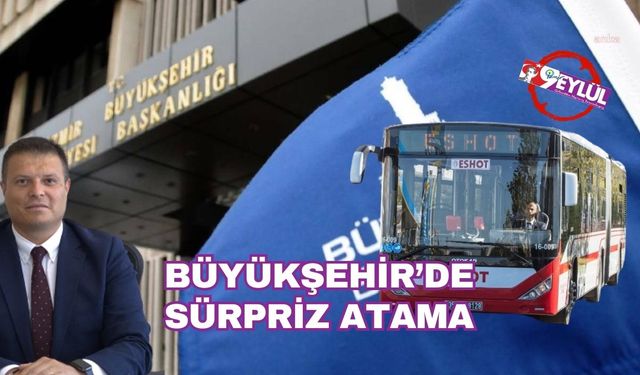 POLİTİKA