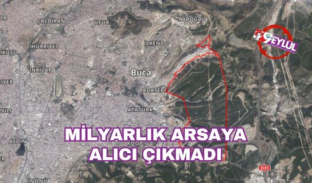 POLİTİKA