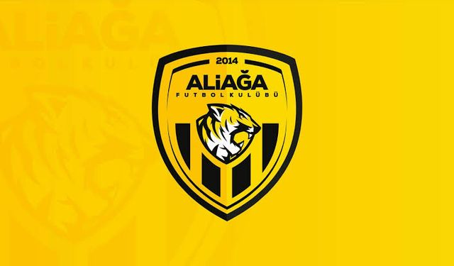 Aliağa FK'da 3 dış, 1 iç transfer