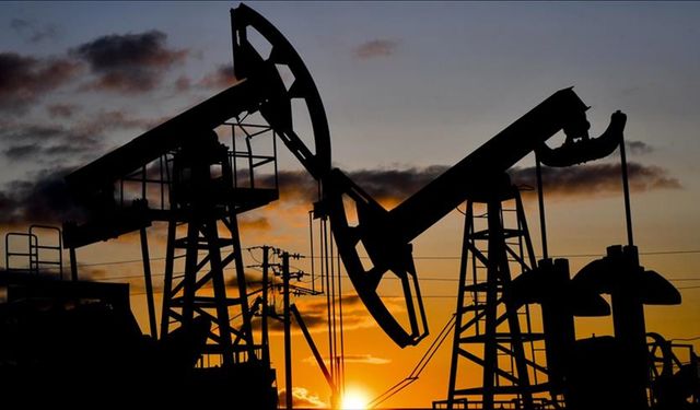 Petrol hakkına müteallik karar