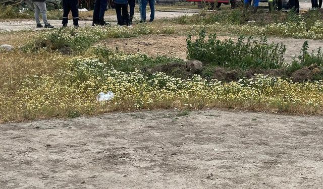 Ağılda çıkan yangında 42 küçükbaş telef oldu