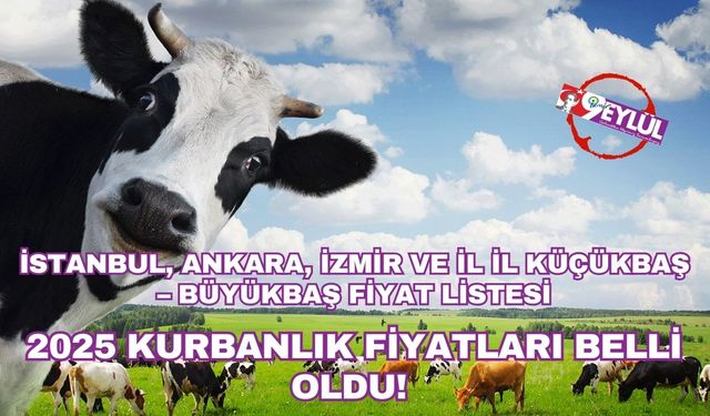 2025 Kurbanlık Fiyatları Belli Oldu: İstanbul, Ankara, İzmir ve İl İl Küçükbaş – Büyükbaş Fiyat Listesi