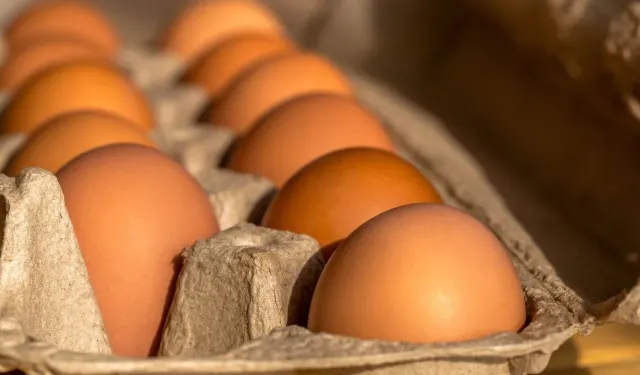 Yumurtanın farkı mikroskopta ortaya çıktı!