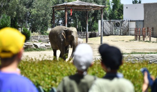 İzmir Doğal Yaşam Parkı bayramda  ziyaretçileri bekliyor
