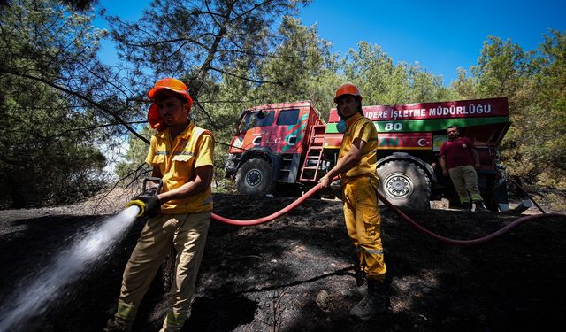"Alev savaşçıları" yangınla mücadele ediyor