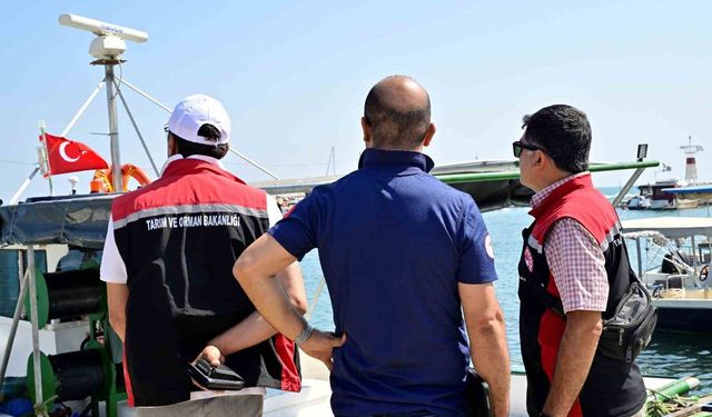 İzmir’de balıkçılara sıkı denetim: 1,2 Milyon TL ceza ve el koyma