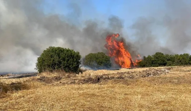 Çanakkale Biga’da tarım arazisinde yangın