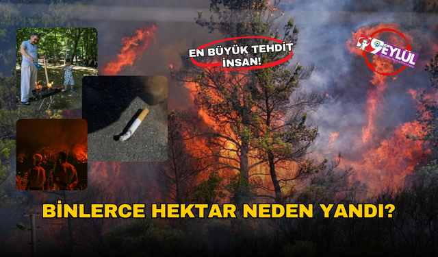 Orman yangınlarının çıkış nedenleri açıklandı!