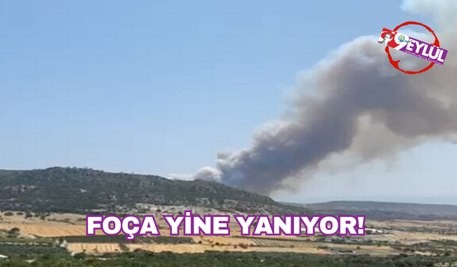 Foça yine yanıyor!