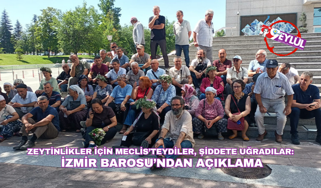 Zeytinlikler için Meclis’teydiler, şiddete uğradılar:  İzmir Barosu’ndan açıklama
