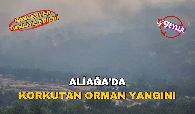 İzmir alevlerle boğuşuyor: Aliağa'dan Foça'ya yayılan orman yangını, köyleri tehdit ediyor