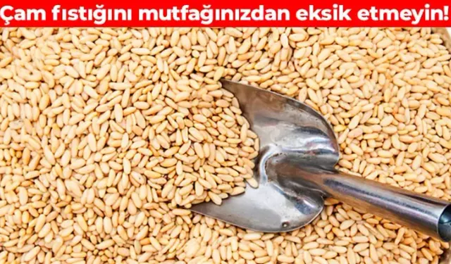 Çam fıstığının bilinmeyen mucizesi: Kemiklere güç, damarlara zırh!