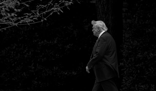 Trump-Epstein ilişkisi 1990'lara dayanıyor