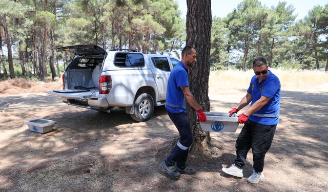 İzmir Buca'da sessiz çığlığa hayat veren hamle: Kavurucu sıcaklara karşı can dostları için seferberlik