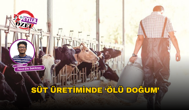 Süt üretiminde ‘ölü doğum’
