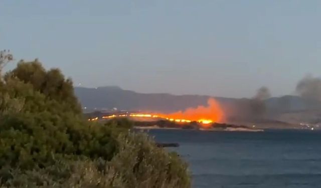 İzmir’de orman yangını alarmı: Aliağa'daki yangın kontrol altına alındı!