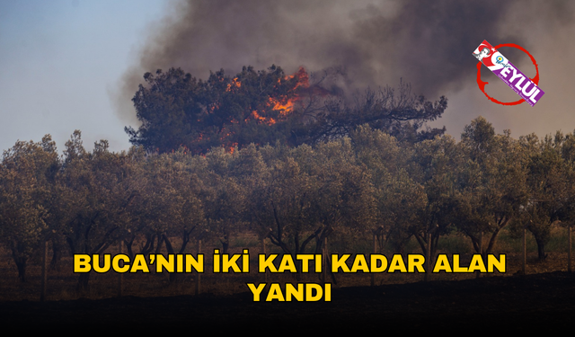 İzmir’de bir ayda 26 bin 260 hektar alan yandı