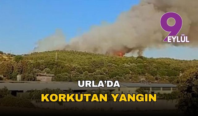 İzmir Urla alevlere teslim: Kuşçular'daki orman yangını rüzgarla büyüdü, havadan ve karadan seferberlik başlatıldı!