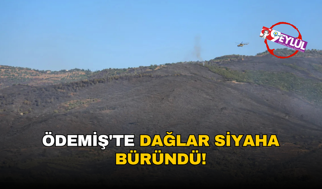 Ödemiş'te 3 gündür devam eden yangın sonrası dağlar siyaha büründü!