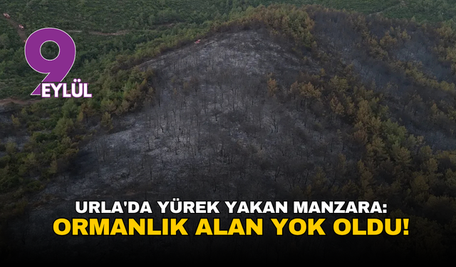 Urla'da yürek yakan manzara: Ormanlık alan yok oldu!