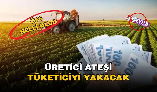 Maliyet ateşi sönmüyor: Üretici enflasyonunda yıllık yüzde 24,45’lik artış