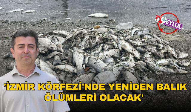'İzmir Körfezi'nde yeniden balık ölümleri olacak'