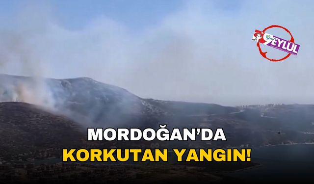 Karaburun Mordoğan'da korkutan yangın!
