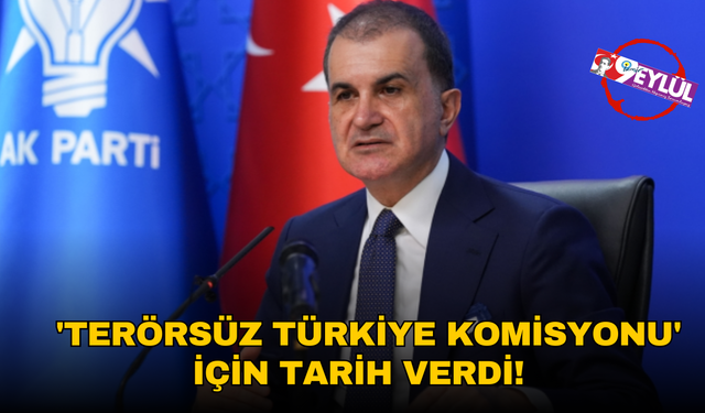 AK Parti'li Ömer Çelik 'Terörsüz Türkiye Komisyonu' için tarih verdi!