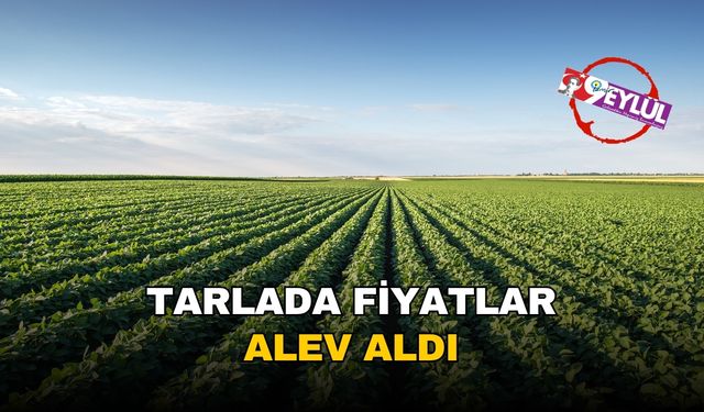 Tarlada fiyatlar alev aldı: Tarım ÜFE'de yıllık artış yüzde 50'yi aştı, meyve fiyatları uçuşa geçti