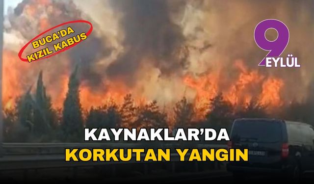 Buca'da kara gün: İzmir'in akciğerleri Kaynaklar'da korkutan yangın