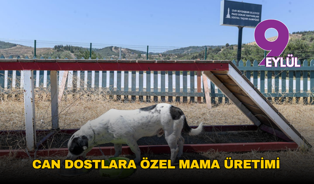 İzmir Büyükşehir Belediyesi'nden can dostlara özel mama üretimi