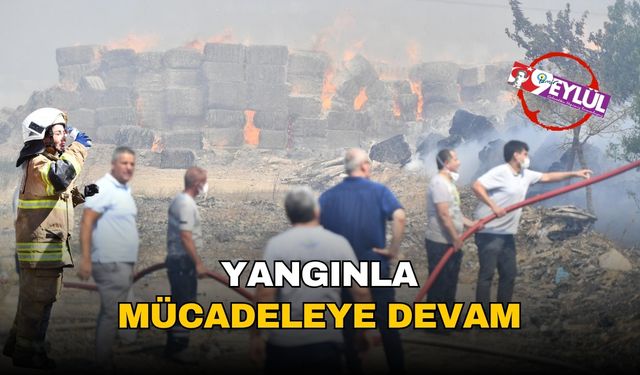İzmir İtfaiyesi yangınlarla mücadelesini sürdürüyor