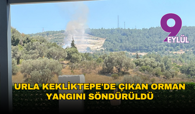 Urla Kekliktepe'de ormanlık alanda yangın paniği