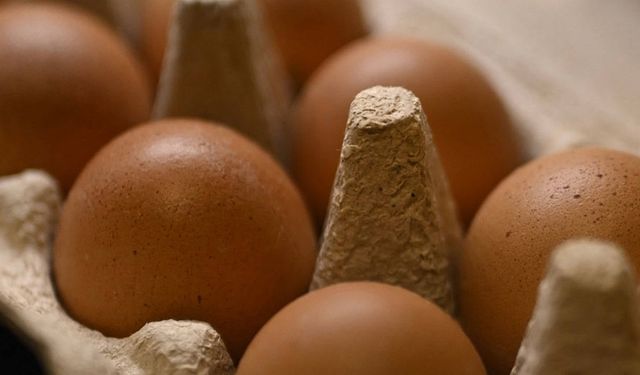 Sofrada fiyat tartışması sürerken ihracat kapısı sonuna kadar açıldı