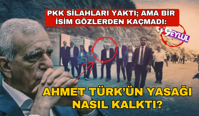 'Ahmet Türk'ün yasağı nasıl kalktı?