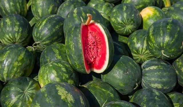 Yazın serin lezzeti karpuz, kabusa dönüşmesin: Karpuz zehirlenmesi neden olur?