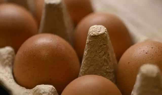 Yumurta ihracatına önlem: Kayda bağlı ihracat sistemi devreye girdi!