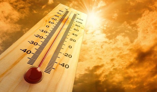 Portekiz’de kavurucu sıcaklar 264 can aldı