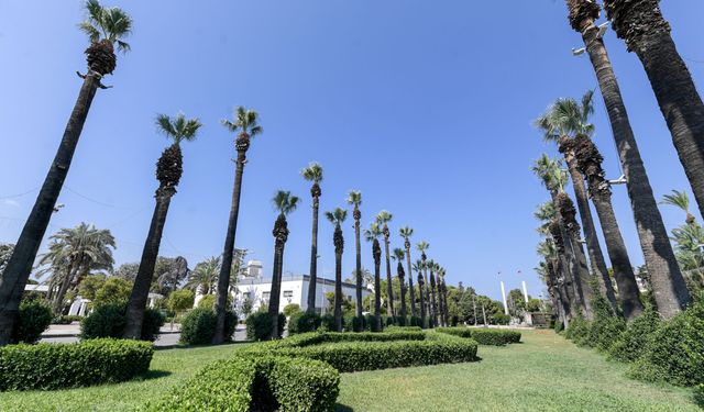 İzmir Kültürpark’ın palmiyeleri yapay zeka ile koruma altında