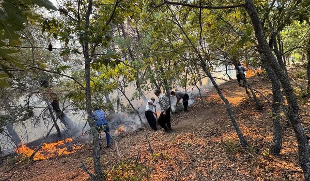 Adana'nın ciğerlerine ateş düştü: Feke'de kırmızı alarm, alevlerle savaş başladı