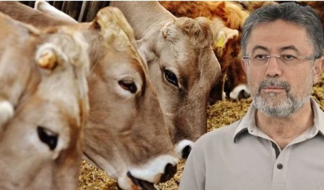 60 yıl sonra ilk kez görüldü! Bakan Yumaklı'dan korkutan açıklama