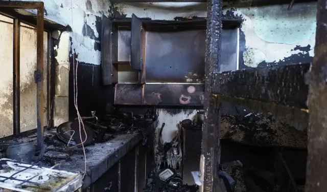 İzmir’de barakada çıkan yangın faciaya yol açtı: 34 hayvan telef oldu