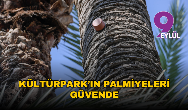 Kültürpark’ın palmiyeleri yapay zeka ile güvende