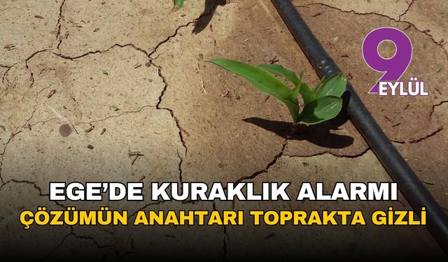 Ege'de kuraklık alarmı: Çözümün anahtarı toprakta gizli