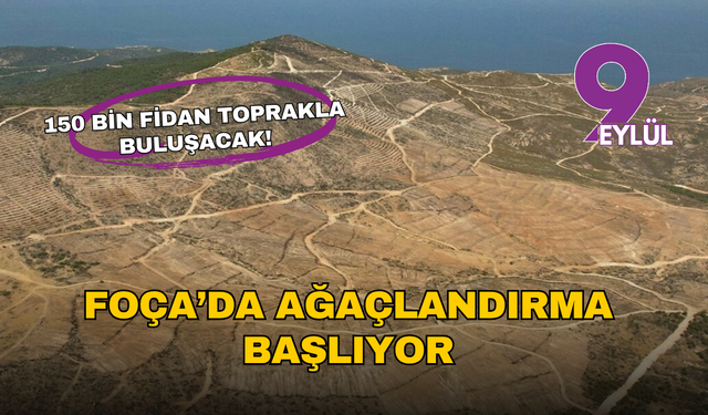 Foça’da ağaçlandırma başlıyor: Yanan 234 hektarlık alana 150 bin fidan dikilecek