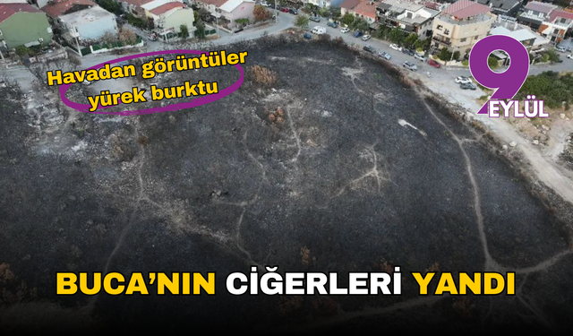 İzmir Buca’nın ciğerleri yandı: Havadan görüntüler yürek burktu!